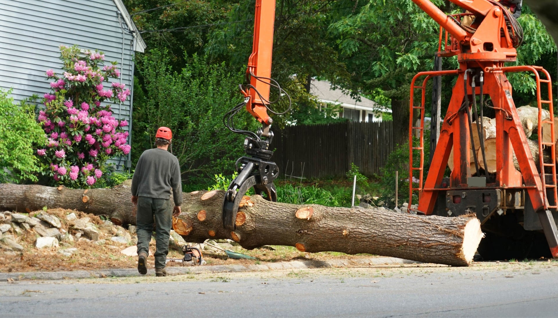 Local partner for Tree removal services in Hamden