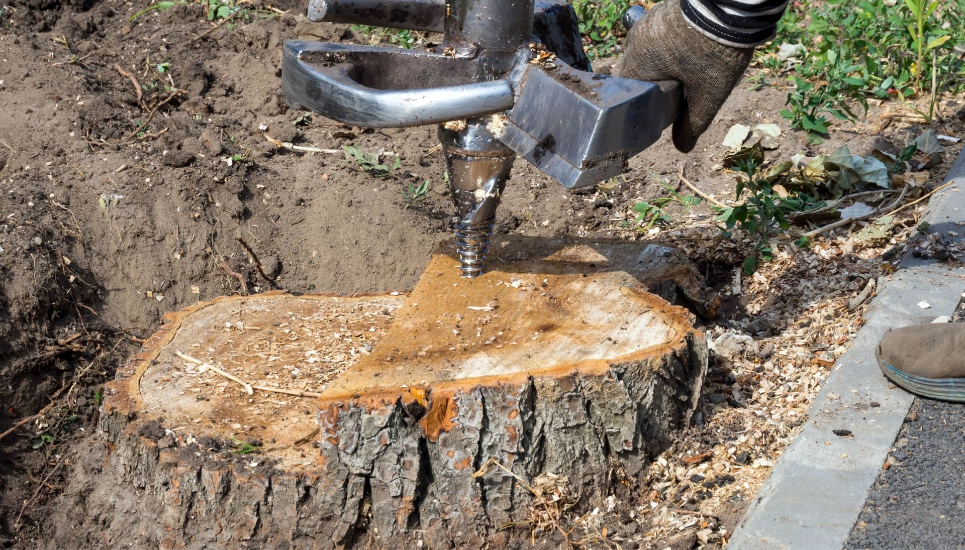 Hamden Tree stump removal
